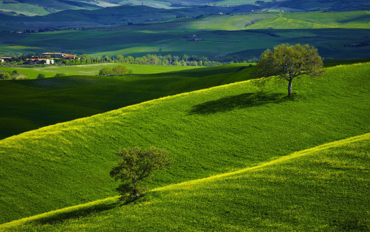 816304 (a): :2550x1600